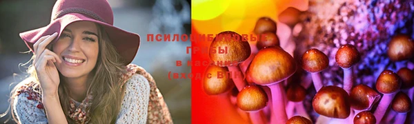 сатива Белокуриха