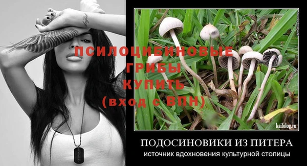 стаф Баксан