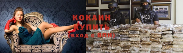 сатива Белокуриха