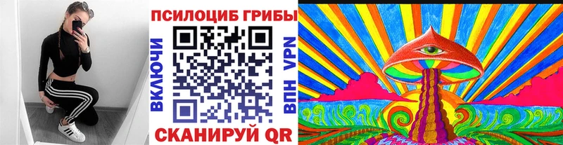 Купить закладки Сим Галлюциногенные грибы GOLDEN TEACHER