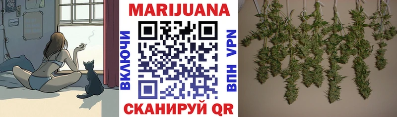 Купить  Сим  Каннабис индика 